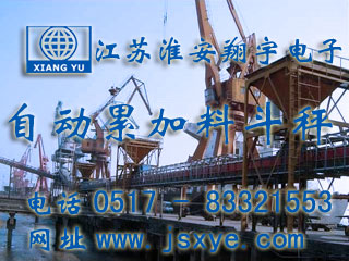 自動(dòng)料斗秤,自動(dòng)累計(jì)料斗秤,全自動(dòng)料斗秤,自動(dòng)料斗秤廠家,全自動(dòng)累計(jì)料斗秤