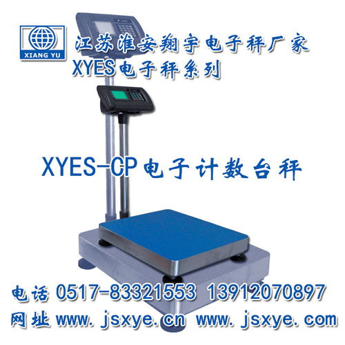 計(jì)數(shù)臺秤,計(jì)數(shù)臺秤廠家,臺秤,臺秤廠家,江蘇臺秤,淮安臺秤,XYES