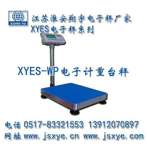 計(jì)重臺秤,計(jì)重臺秤廠家,臺秤,臺秤廠家,江蘇臺秤,淮安臺秤,XYES